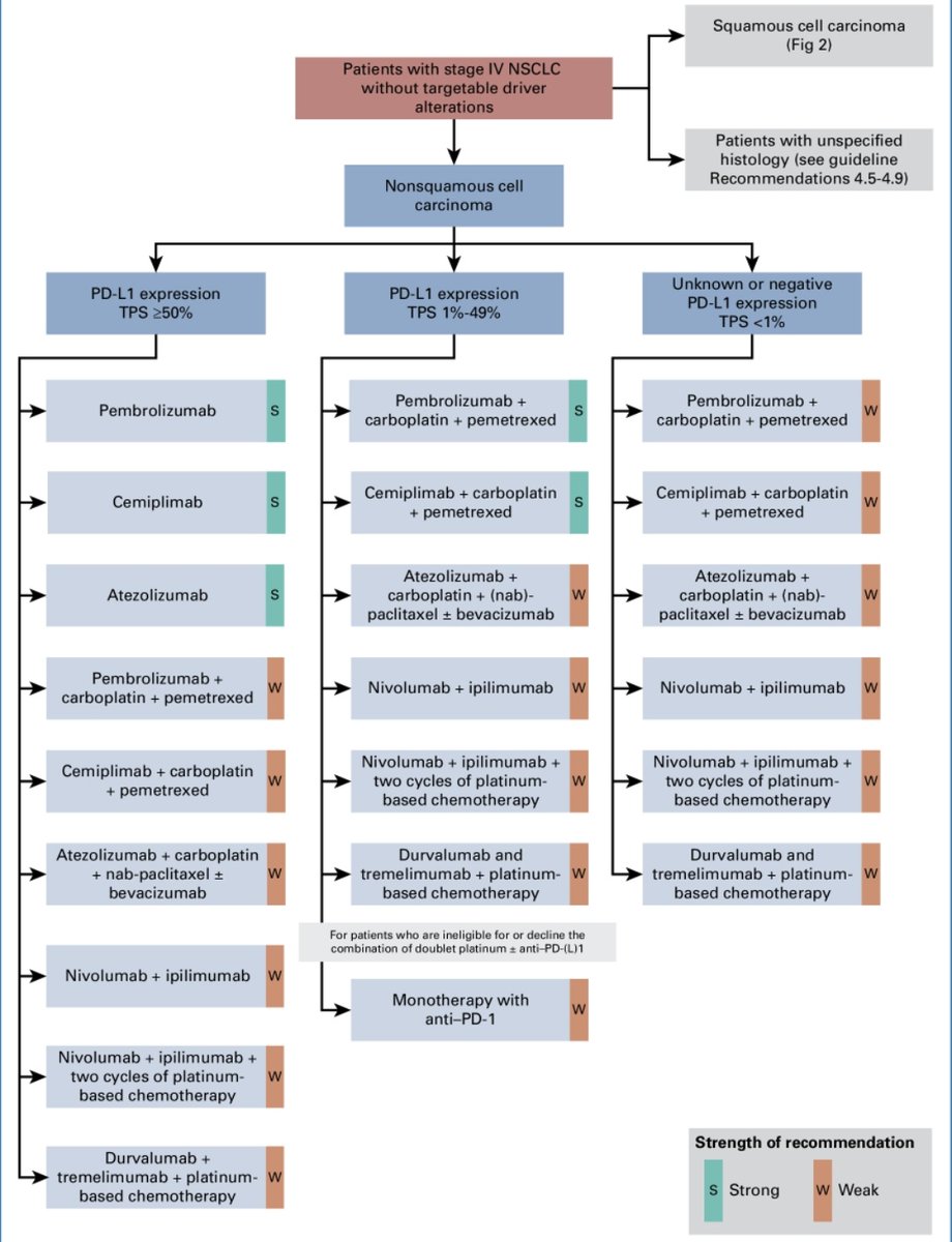 🚨new <a href="/ASCO/">ASCO</a> guidelines on stage IV NSCLC