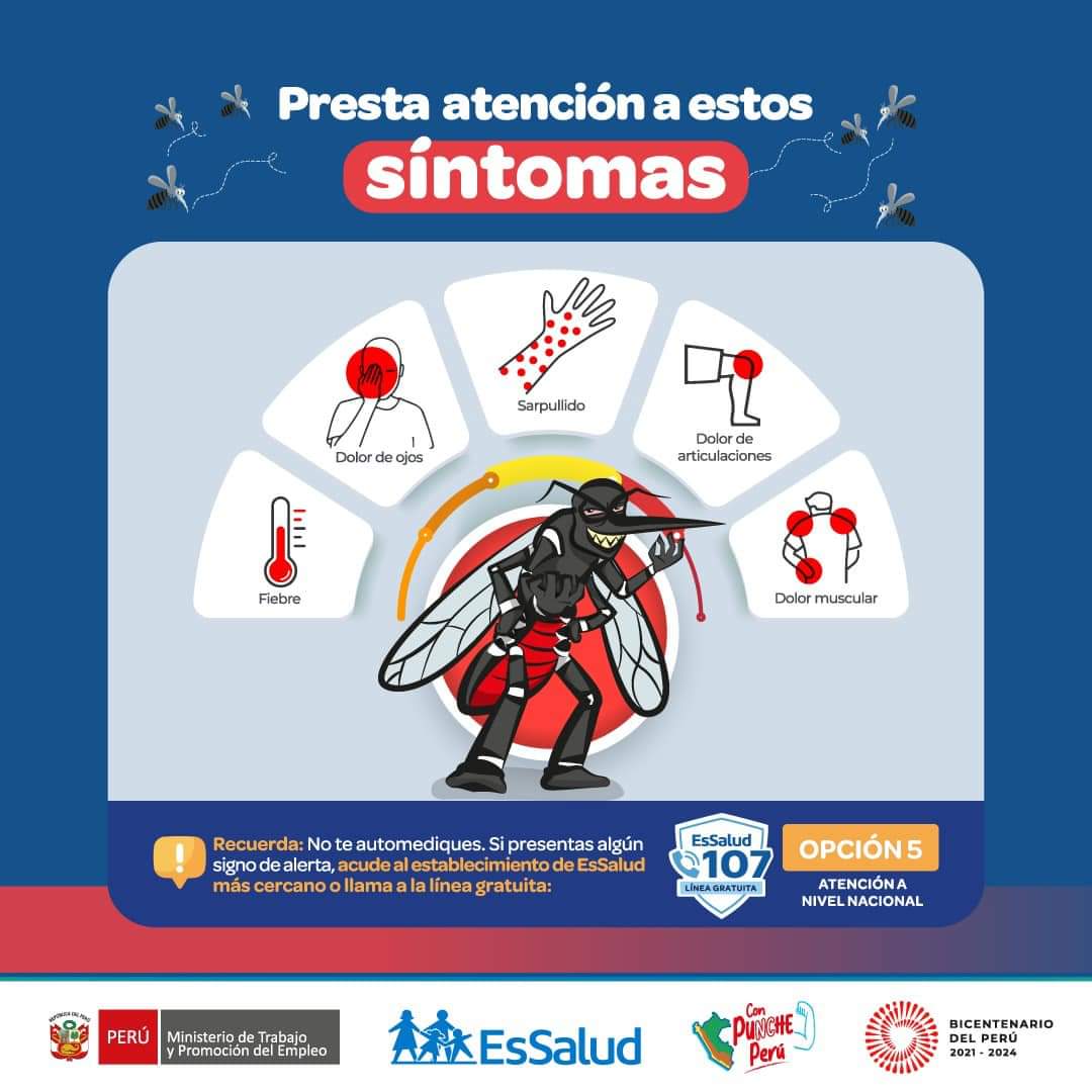 EsSaludPeru's tweet image. ¡Actúa contra el dengue! 🦟❌ Si presentas uno o más de estos síntomas, acude al establecimiento de salud más cercano o 📲 llama a la línea gratuita 1️⃣0️⃣7️⃣, opción 5️⃣.