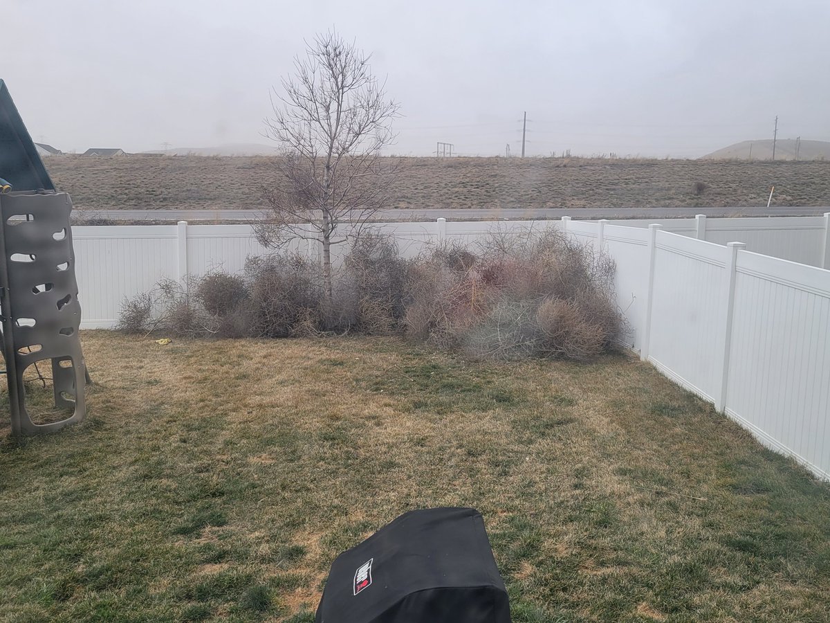 Matt 🇦🇲🇺🇦🇵🇸 tweet media