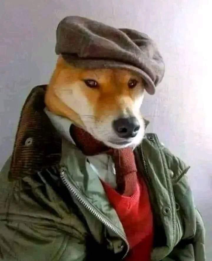 M_Merchich's tweet image. أكبر صحفي رياضي قواس على كل ماهو مغربي من فرق وطنية و منتخب المغرب 🇲🇦 و فريق ريال مديد 
#الحمارجي