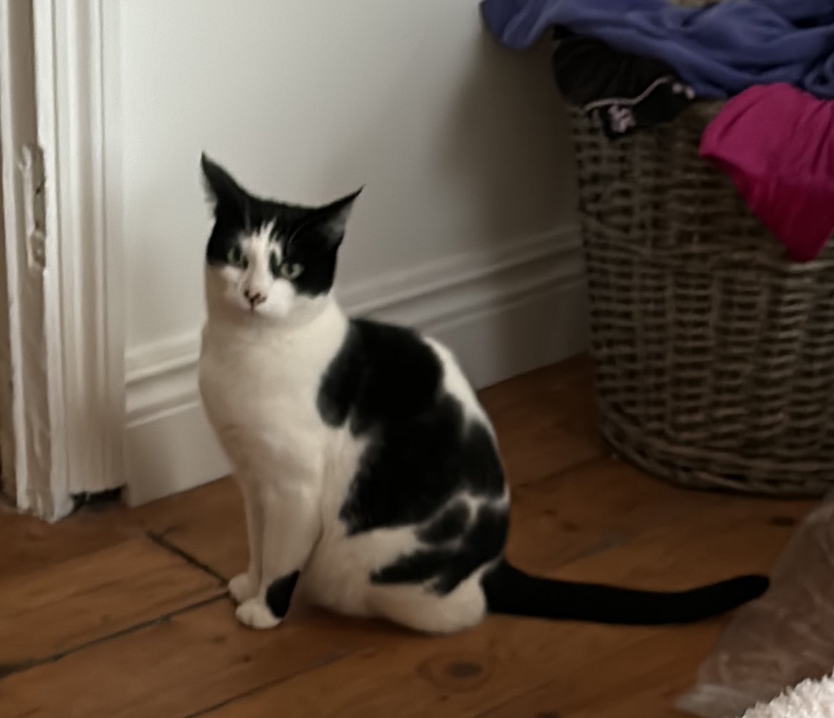 Flo Allday tweet media