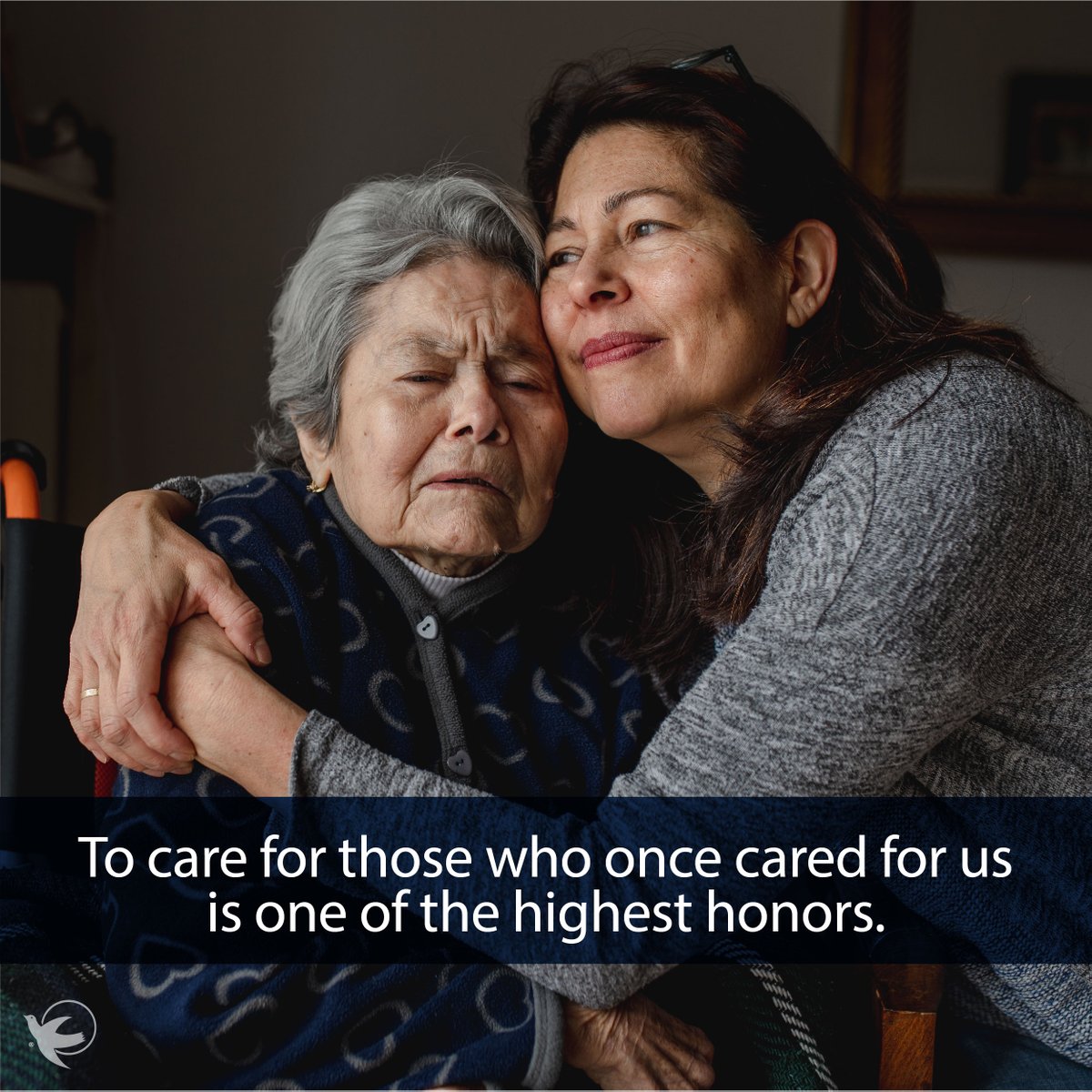 SeniorHomecareYEG tweet media