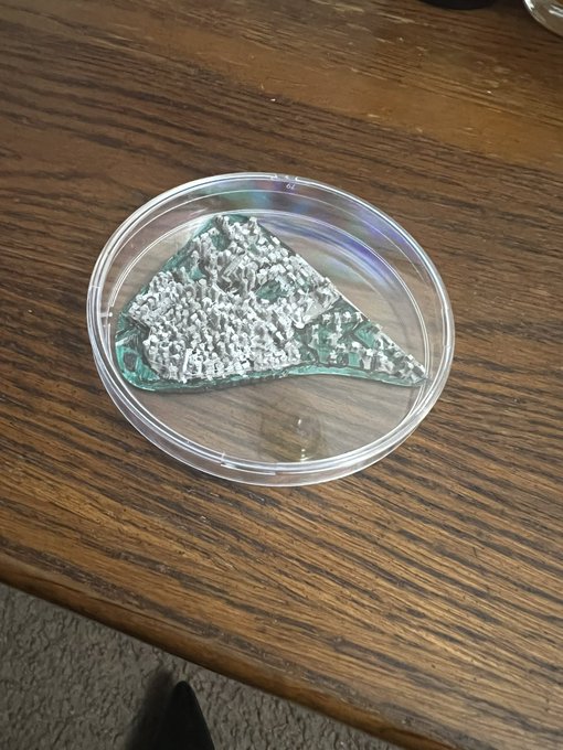 I grew a micro city! #sizetwitter #giantess https://t.co/GLZsCqyT28<a href="/tag/sizetwitter"class="tags">#sizetwitter</a><a href="/tag/giantess"class="tags">#giantess</a>