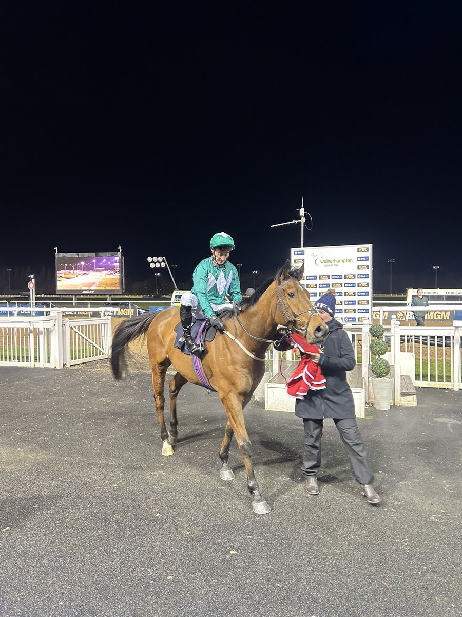 Cosmos Raj @BetMGM @omeararacing @WolvesRaces WINNER 🥇🐎