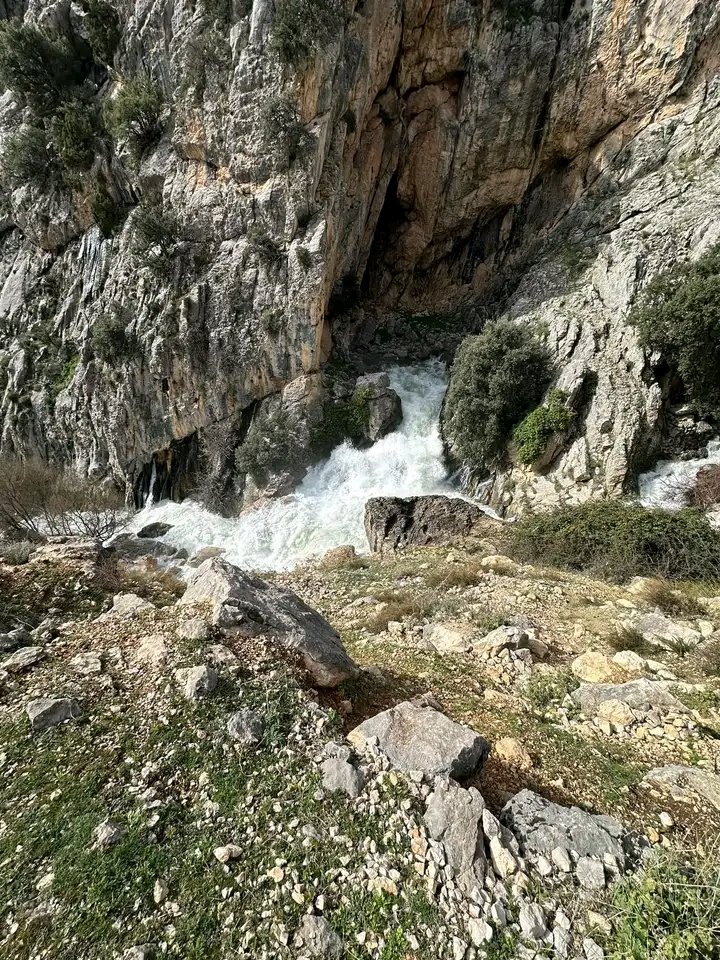 Amig@s PN. Sierra de Castril tweet media