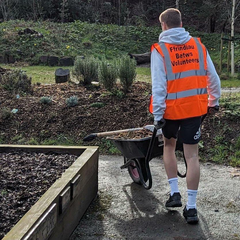 Great feeling, part of a community team project. Volunteers hard at it at community Veg beds & nature area / Ardd Natur #parcybetws #betwspark this morning. Getting bank ready for Gooseberries & Blackcurrants. Helping Biodiversity, wellbeing & the youngsters on @DofEWales