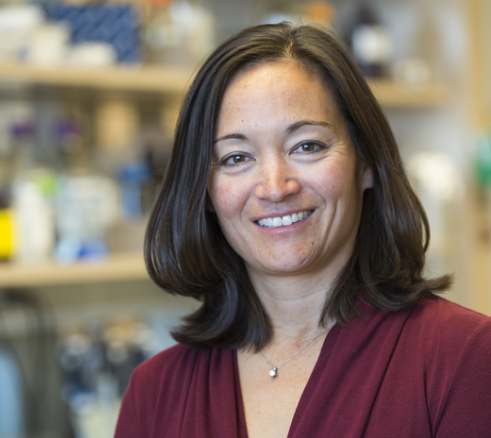 Dr. Shelley Miyamoto was recently named head of #PediatricCardiology. See the valuable lessons she brings to her new role and learn about her future aspirations, as well as the challenges she anticipates as healthcare and technology evolve: bit.ly/3wnVzrz