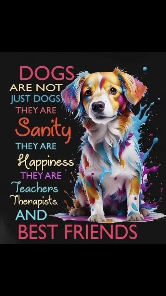 Hewell Rainbow Project tweet media