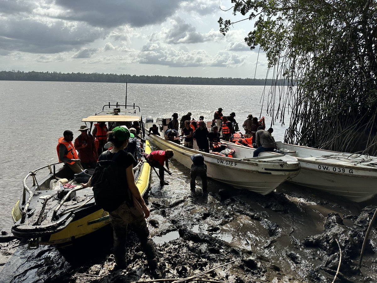 Dr. Marc Simard tweet media