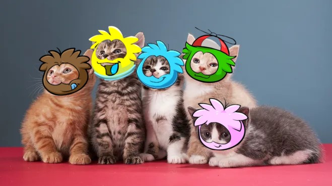 notmiatortilla's tweet photo. cats, its time to get psycho o7

@blo_omana
@tiffyfps
@ItsLuna_Val
@notmiatortilla
@MJHypers
@psychocatsVAL

https://t.co/0QXW5vfEv0
will be streaming our games w 5 min delay :3 https://t.co/m780ZPszoW