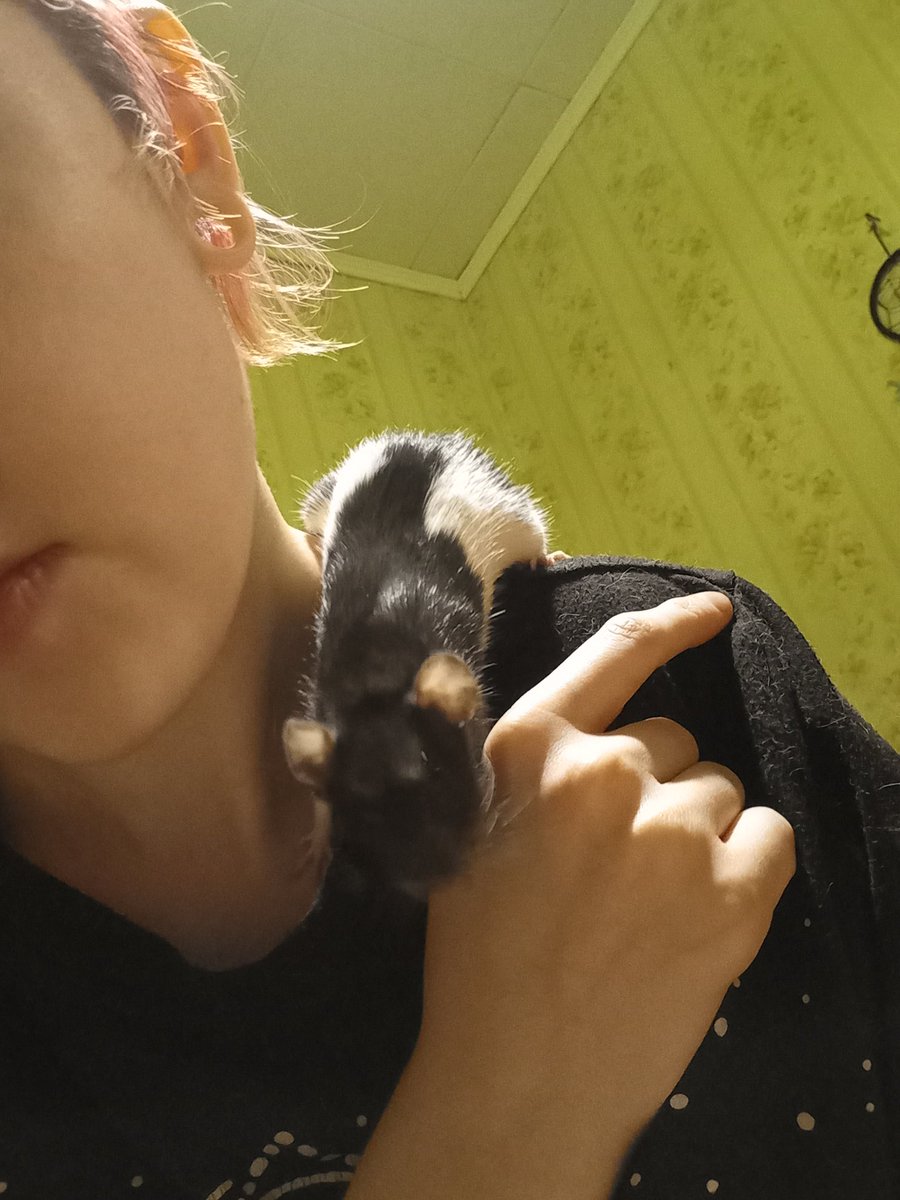 Сегодня не стало моей малютки..