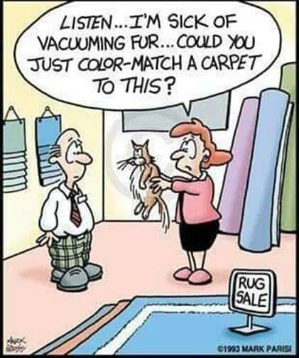 Never a truer cartoon... #Caturday  FYI <a href="/LouDPhillips/">Lou Diamond Phillips</a>