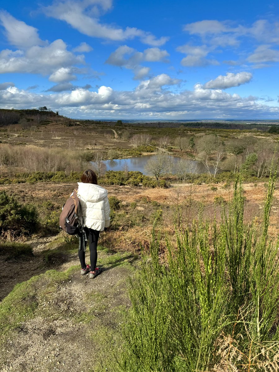 One from our Rowhill Reserve to Caesar’s camp walk today in Aldershot, Hampshire 🌲🥾☀️ So many stunning viewpoints from this area, can’t wait to bring you more info in the week 💚 #aldershot #ourhampshire