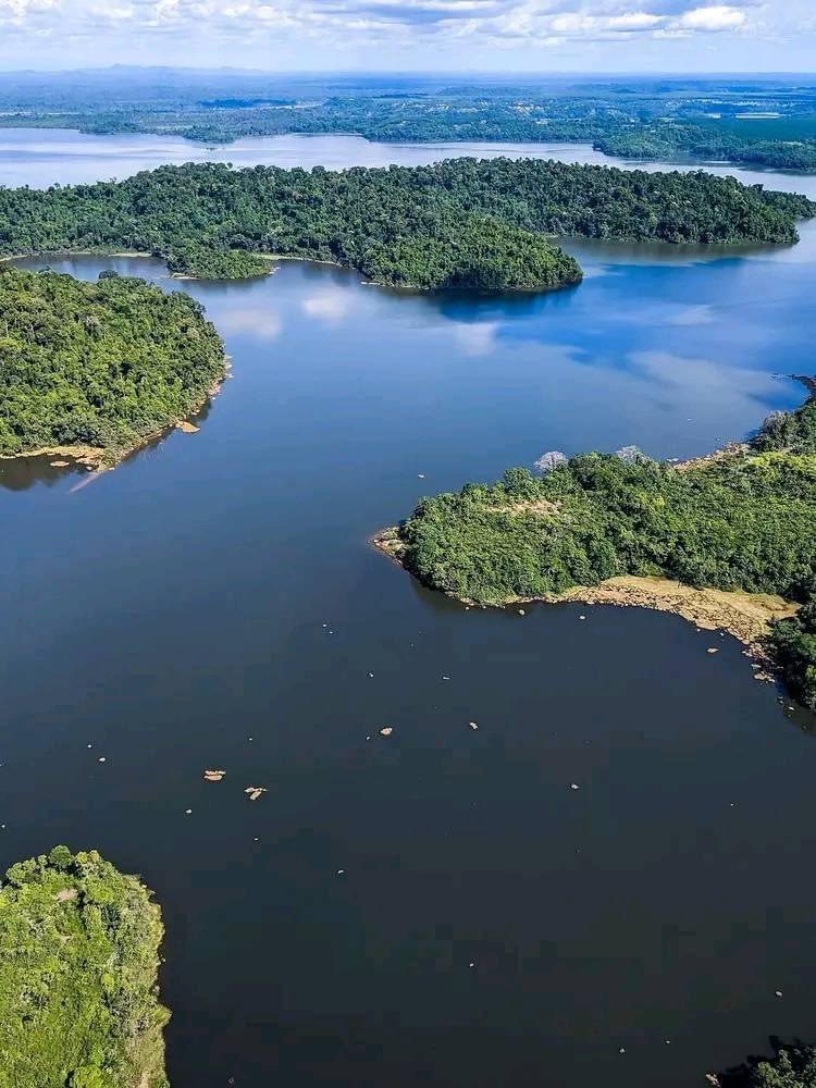 Découvrez le 𝐋𝐚𝐜 𝐎𝐬𝐬𝐚,un trésor naturel situé à moins de 50 km de Douala. Il abrite une biodiversité unique avec plus de 100 espèces de macrophytes,30 espèces de poissons et de nombreux oiseaux aquatiques.Mais ce qui le rend vraiment spécial,ce sont les lamantins d’Afrique