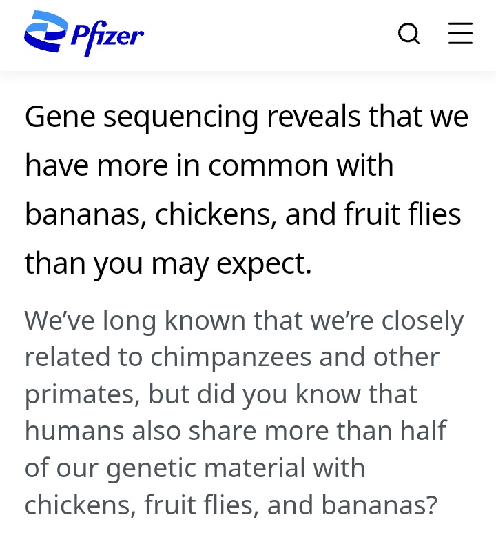 Atheists:
After my 13th rona booster i learned from Pfizer I'm not only related to chimps but im also a descendant of bananas fruit flies and chickens 🐒