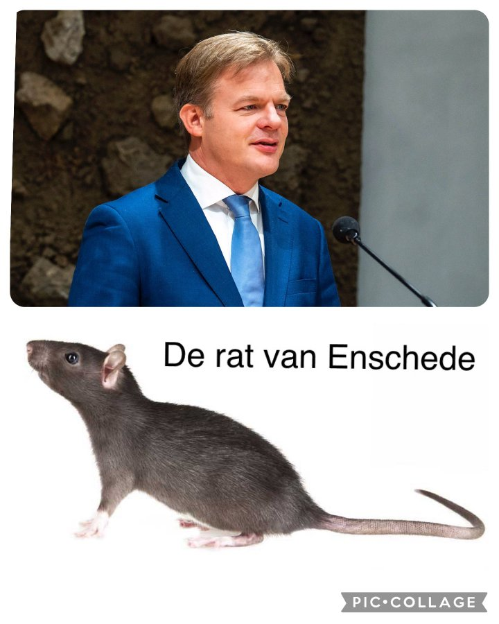 Geert Wilders , flikker die Pieter Omtzigt er uit. of Nieuwe Verkiezingen.