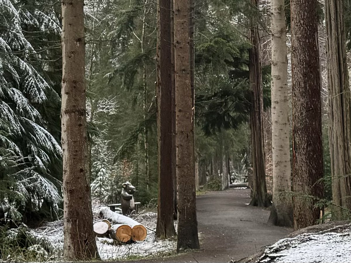 AngrySuperbird's tweet photo. View from the office @WoodlandNomad https://t.co/B6OanRdwqc