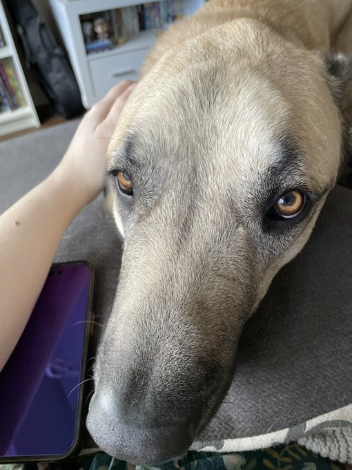 At least I&rsquo;ve got very attentive nurses while suffering with the flu 😅😻 https://t.co/X6pgWflrjM<a href="/tag/mvsales"class="tags"><span>#mvsales</span></a>