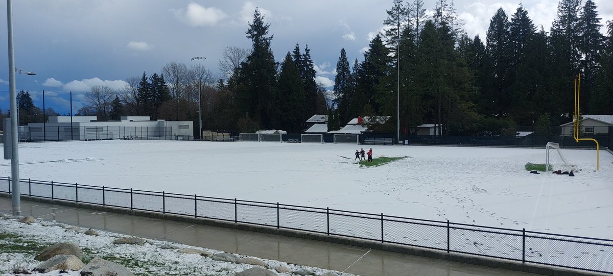 DNV Fields tweet media