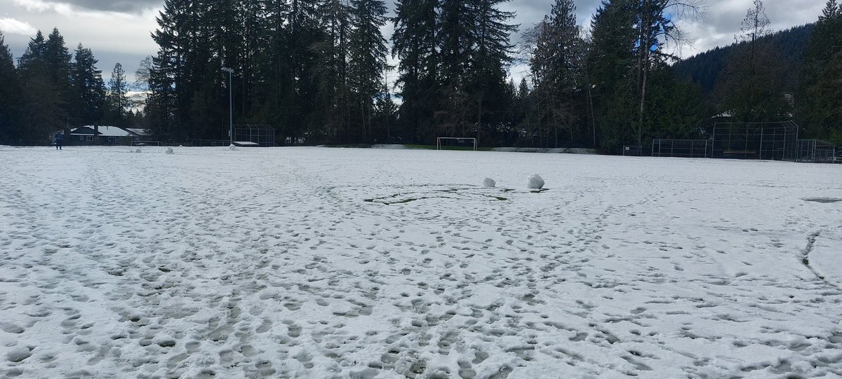 DNV Fields tweet media