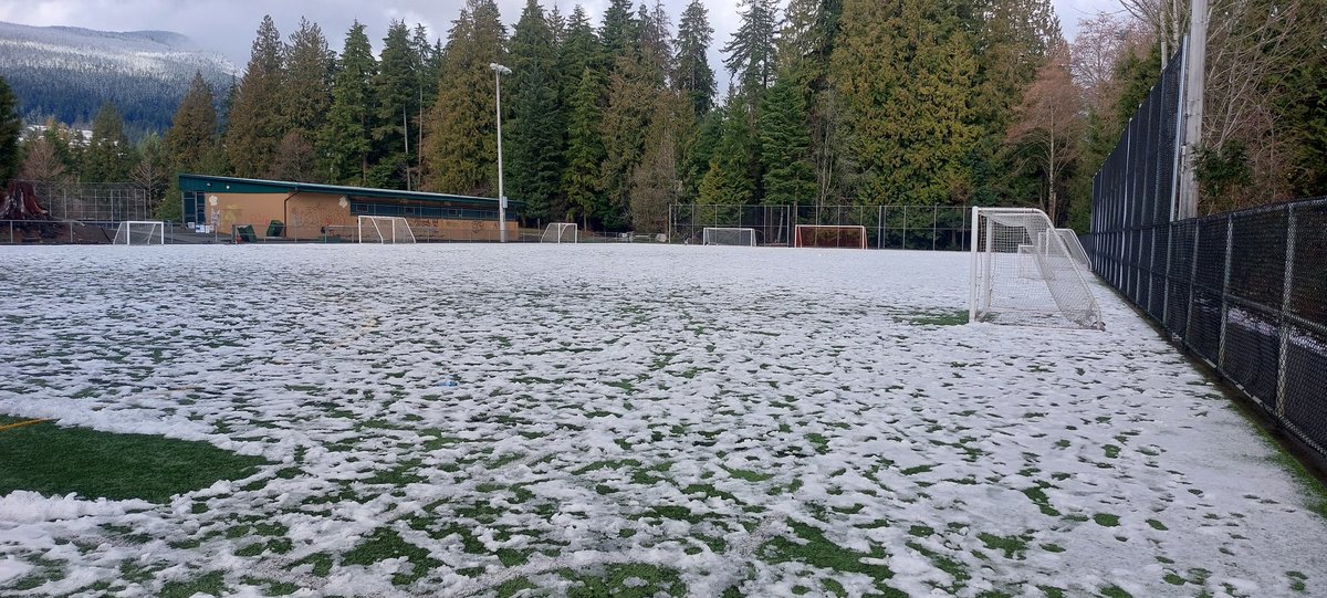 DNV Fields tweet media