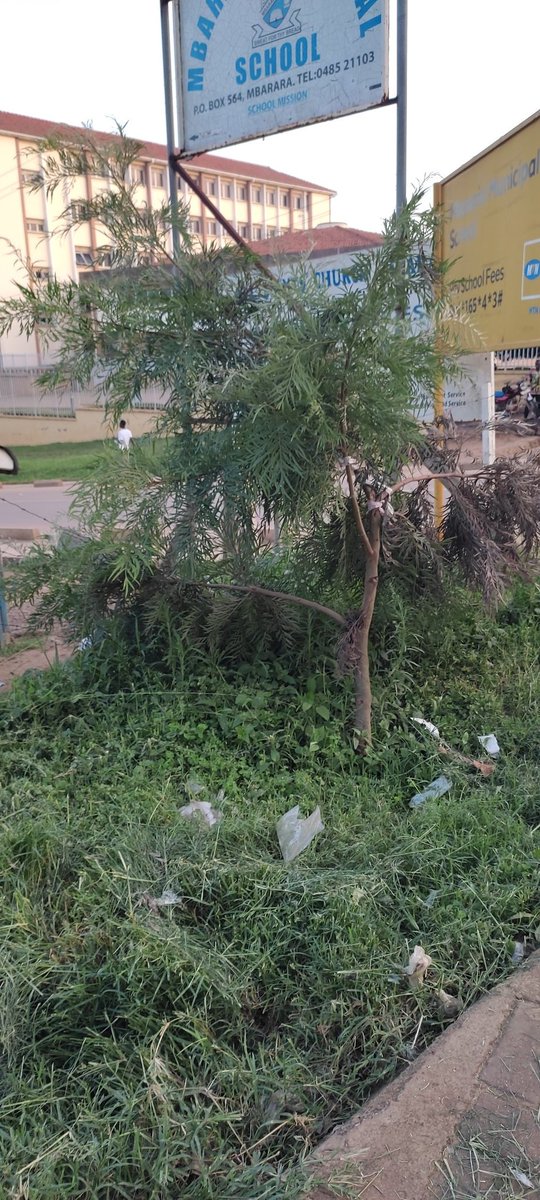 Eco Equity Community Initiative organisation. tweet media