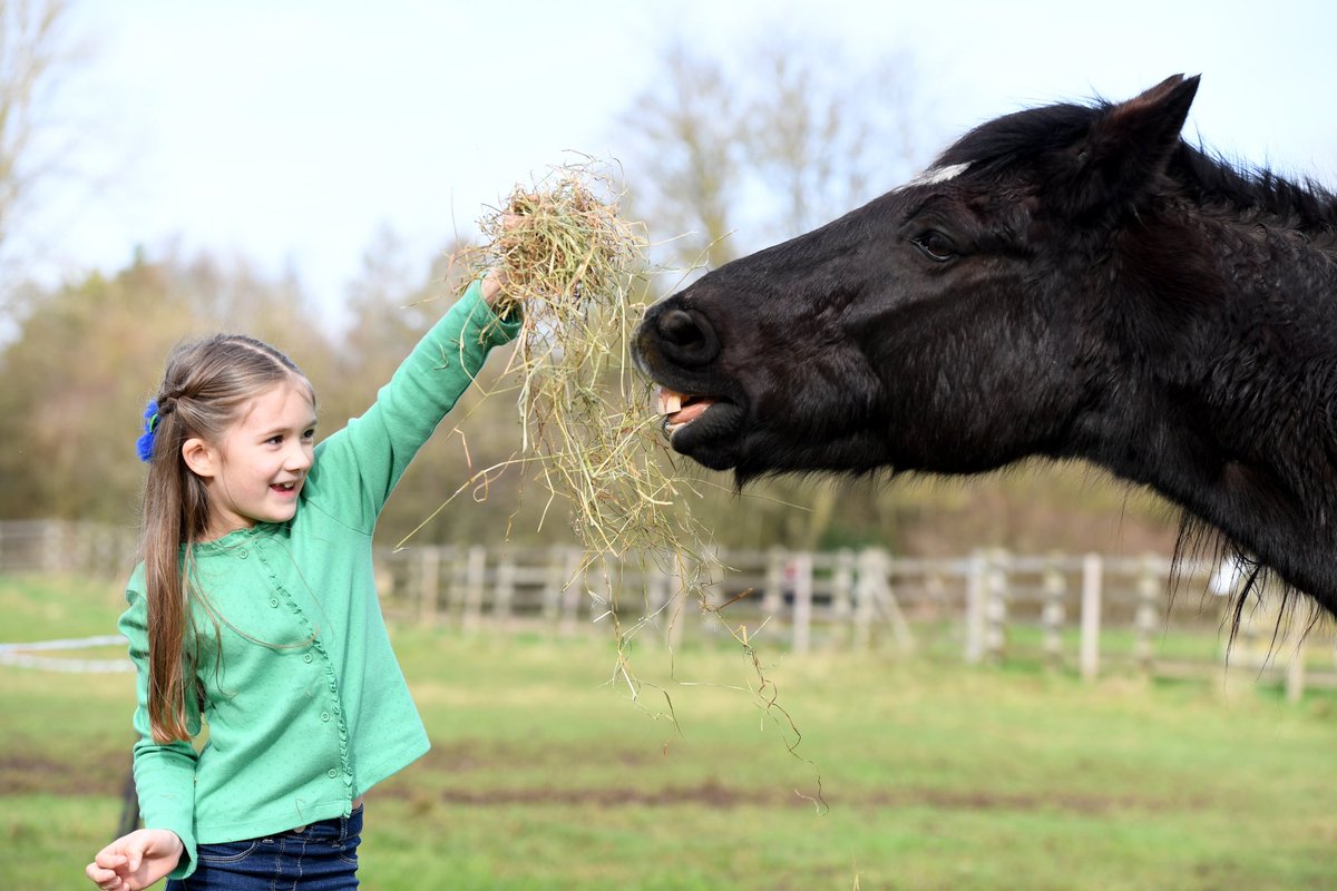 Jane Lambert tweet media