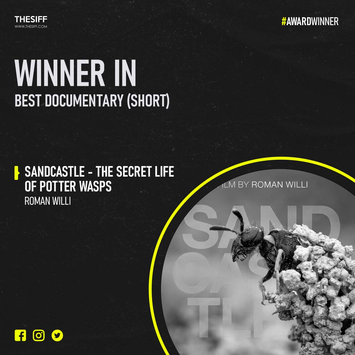 Congratulation❤️ 👉 Alone : Best Director 👉 Sandcastle - The Secret Life Of Potter Wasps : Best Documentary (Short) 👉 Where the Stars Fell : Best Audio Drama 👉 The M Word : Best Comedy We would like to congratulate every WINNER in our JANUARY Season #winner #siff2024