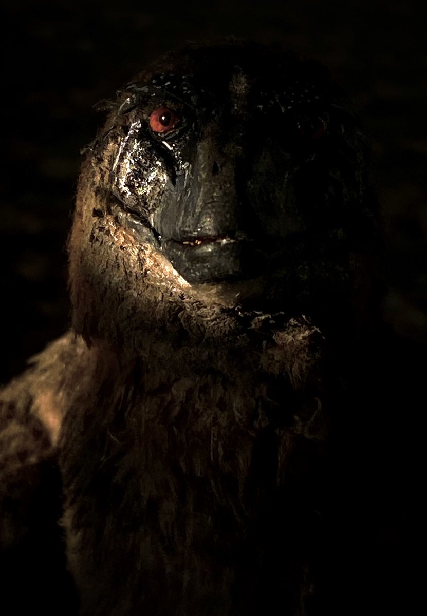 _Archesuchus_'s tweet image. ‼️ATTENTION‼️
🧵1/3
I am opening up a contest that will last from now till the end of the month! This is a creature designing contest. You can design undiscovered creatures of the past, creatures from 40 million years into the future, or creatures from one billion years ahead!