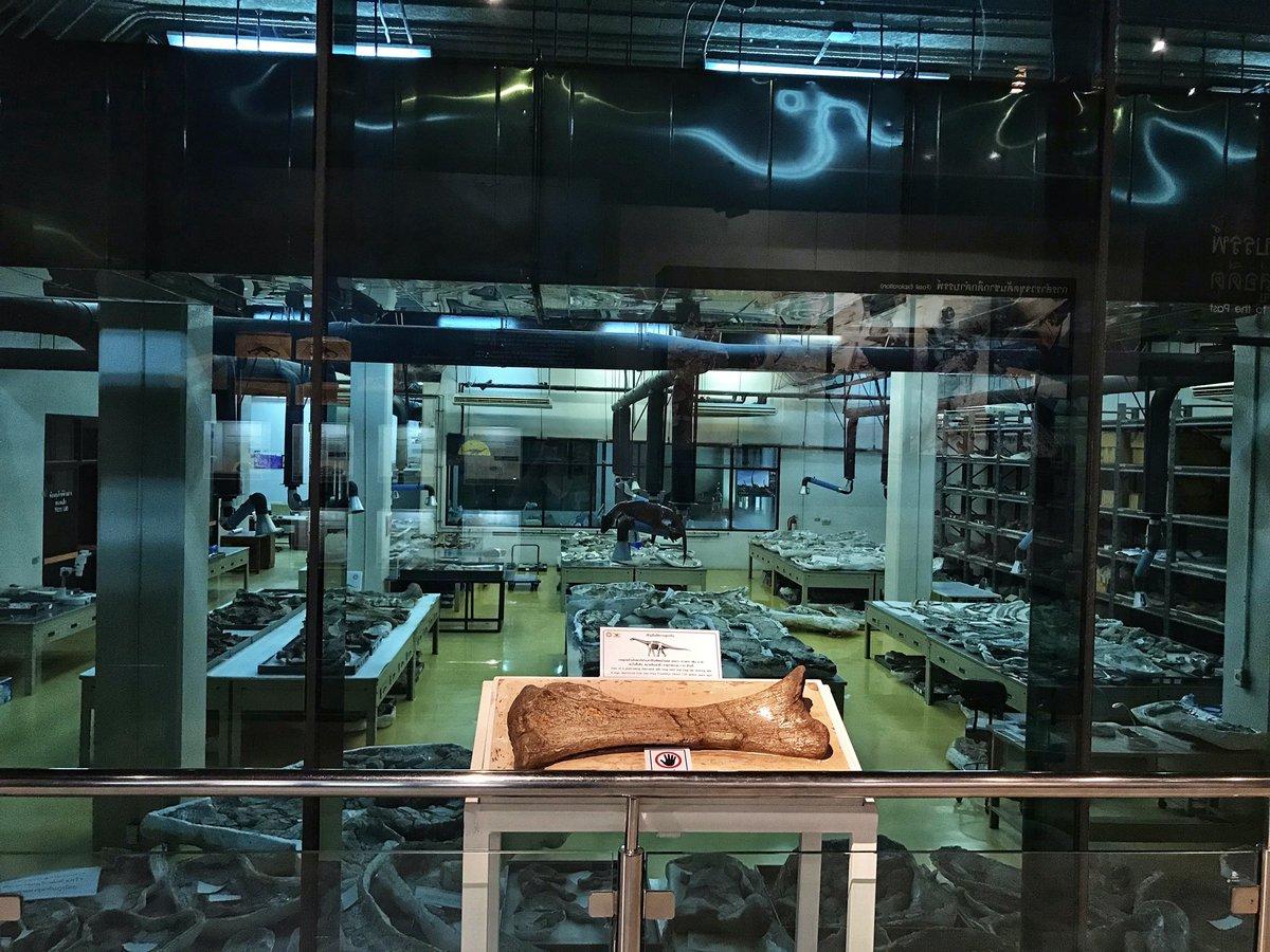 พิพิธภัณฑ์สิรินธร กาฬสินธุ์ เป็นพิพิธภัณฑ์ไดโนเสาร์ที่สมบูรณ์และใหญ่ที่สุดในอาเซียน มีอะไรให้ดูเยอะมากก ค่าเข้าแสนถูก แต่ได้รับการโปรโมทน้อยสุดๆ บางคนแทบไม่เคยรู้ว่ามีอยู่ด้วยซำ้🥲 อยากให้ได้รับการบูรณะแล้วก็โปรโมทดีๆ เชื่อว่าจะเป็นแลนด์มาร์คที่สำคัญอีกที่เลย