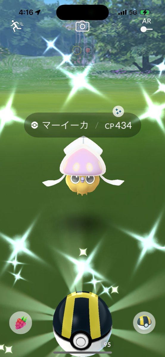 ๐๐๐๐ @ใใฑใขใณGO (@ha_pokego) on Twitter photo ไน
ใใถใใซ้็ใงๅ
ใฃใ๐ฅบ๐๐ป
 #ใใผใคใผใซ ๐ฆโจ๐ ไน
ใใถใใซ้็ใงๅ
ใฃใ๐ฅบ๐๐ป
 #ใใผใคใผใซ ๐ฆโจ๐