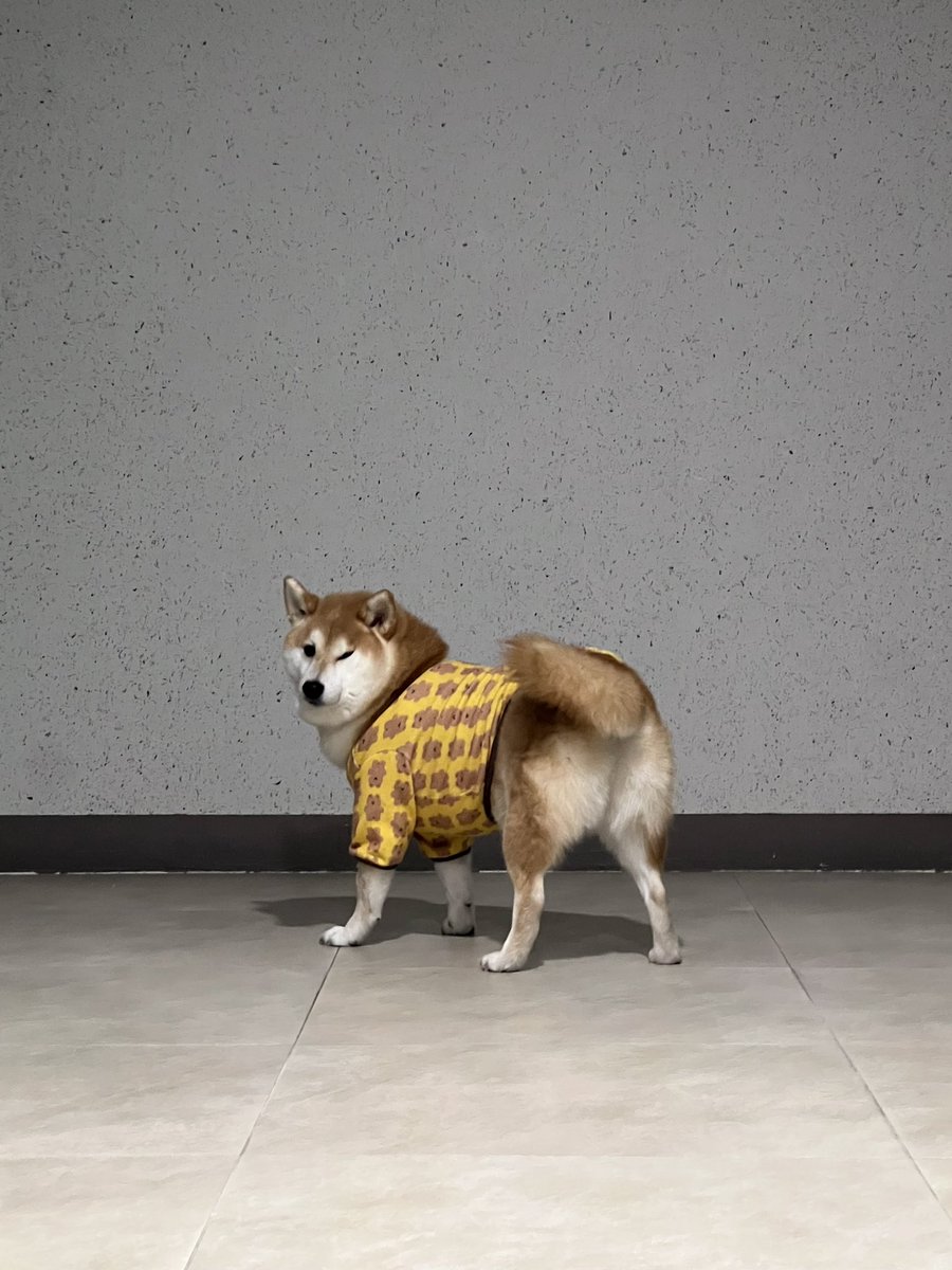 대복맨 등장 포즈