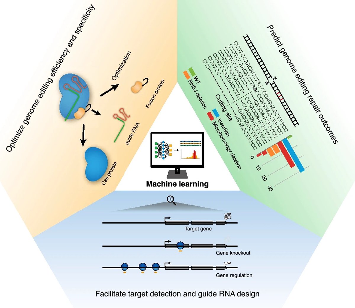 👏👏👏We are pleased to share aBIOTECH new review---Integrating machine learning and genome editing for crop improvement link.springer.com/article/10.100… @SpringerPlants