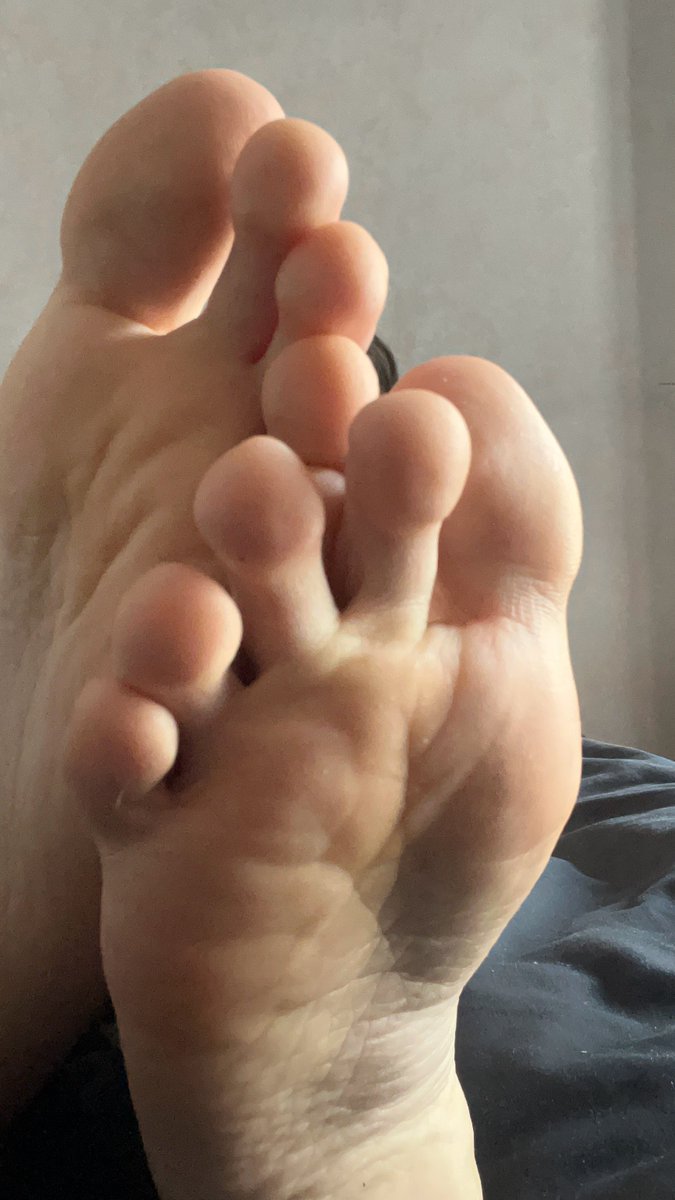 Slimbear tweet media