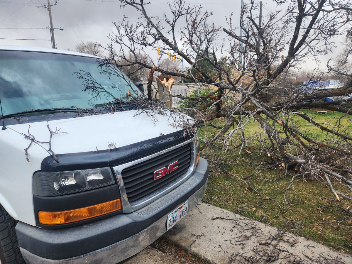 KSL5TV's tweet image. High winds snapped a tree in Springville. (Photos, Daniel Alt) Got weather photos? We want to see them. Submit them here: ksltv.com/as-you-see-it/