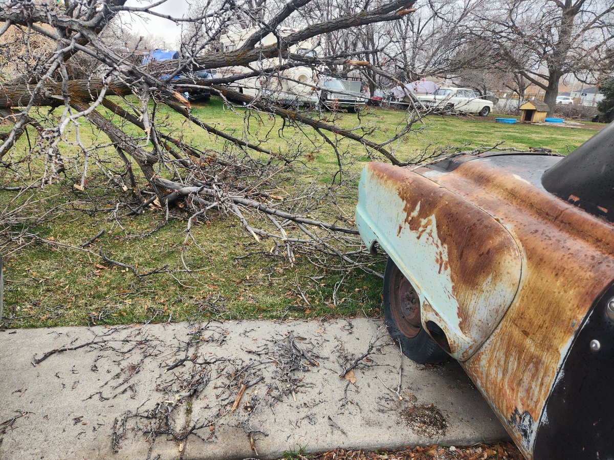 KSL5TV's tweet image. High winds snapped a tree in Springville. (Photos, Daniel Alt) Got weather photos? We want to see them. Submit them here: ksltv.com/as-you-see-it/