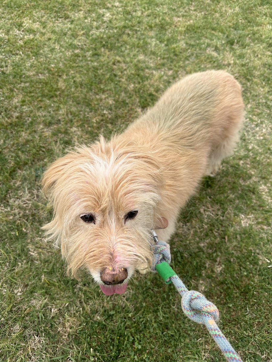 Ms. Kretschmar (@kakretschmar) on Twitter photo Duffy and I had a great time at the Color Run benefiting .<a href="/northbrookhigh/">Northbrook High School</a> Class of 2024. Duffy and I had a great time at the Color Run benefiting .<a href="/northbrookhigh/">Northbrook High School</a> Class of 2024.