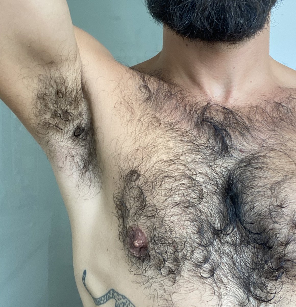 carpet_br (@carpetbr) on Twitter photo 