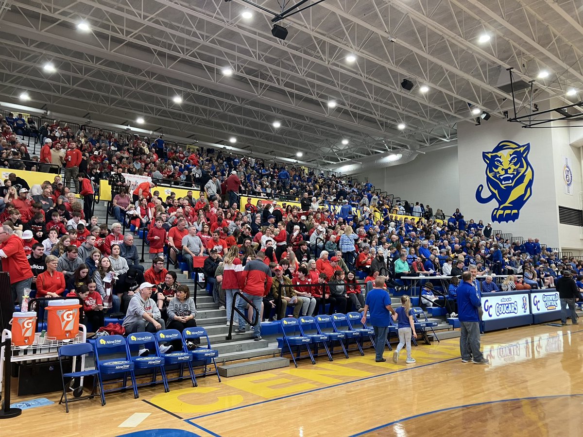 New Palestine Dragons tweet media