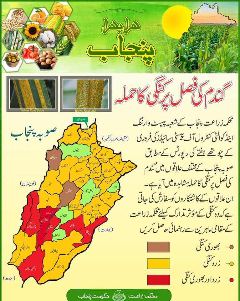 News Update (@nu9596) on Twitter photo 