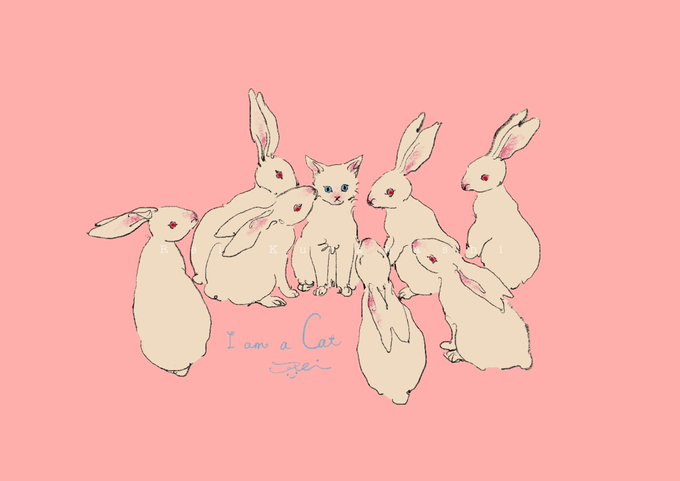 「signature white cat」 illustration images(Latest)