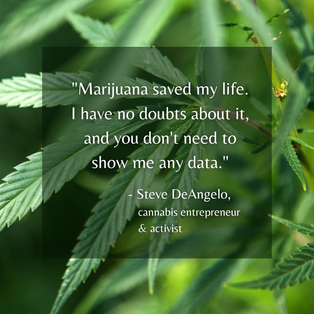 🌿 Sometimes, it takes a single plant to change a life forever. 🌿 Steve DeAngelo's words remind us of the profound impact herbal plants can have on our well-being. 

#HerbalHealing #SteveDeAngelo #LifeChanger