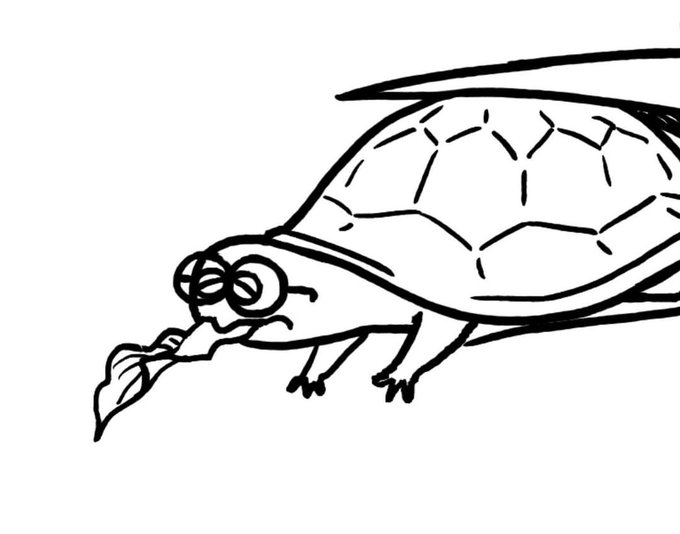 「turtle」 illustration images(Latest)