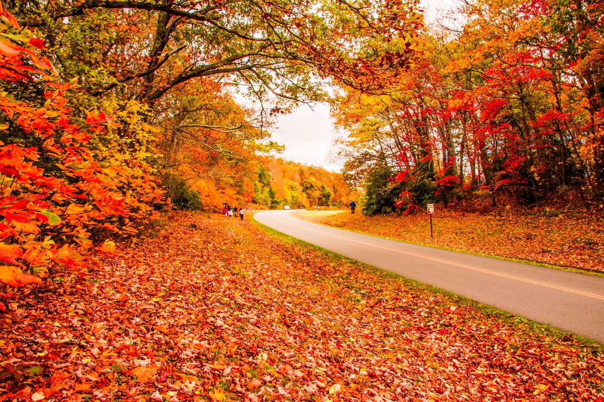 Blueridge parkway in fall - North Carolina #VisitNC #USA #Nikon #D810