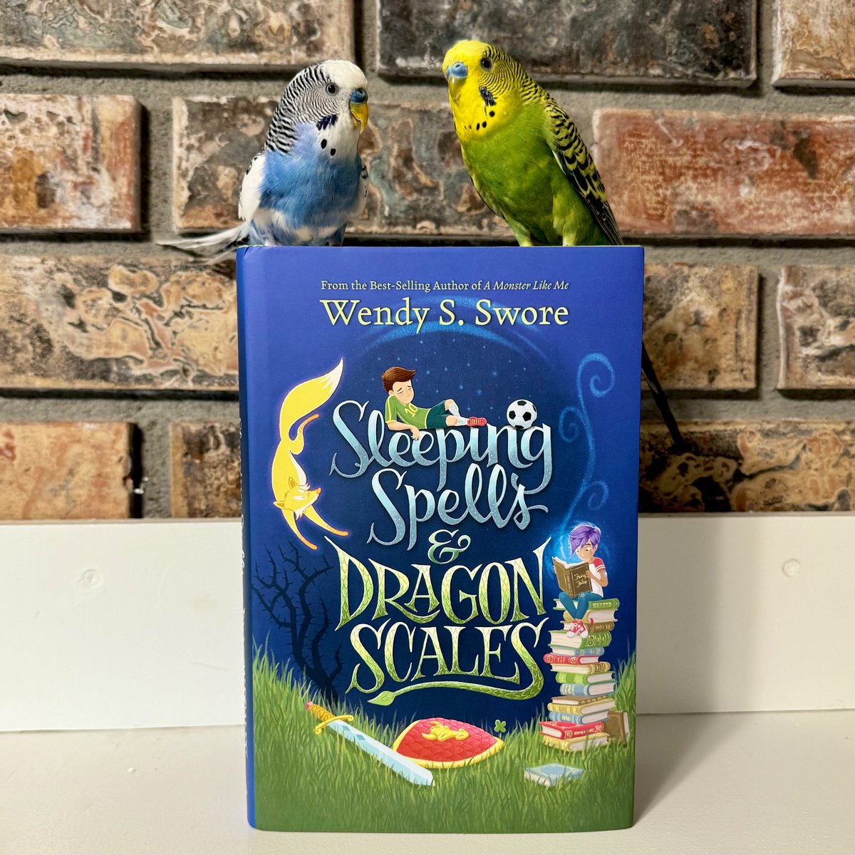 💙💚 I’m over the moon to have an early copy of @WendySwore’s newest book from @shadowmountn. This MG book tackles the issue of invisible illnesses—reminding us all that EVERYONE deserves to be seen. Look for it in bookstores April 2nd! #sleepingspellsanddragonscales