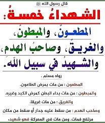 SamhamSh's tweet photo. @7_fvvv @LabasaLabosiya @Sssssssssssamer https://t.co/r00d53p8G5