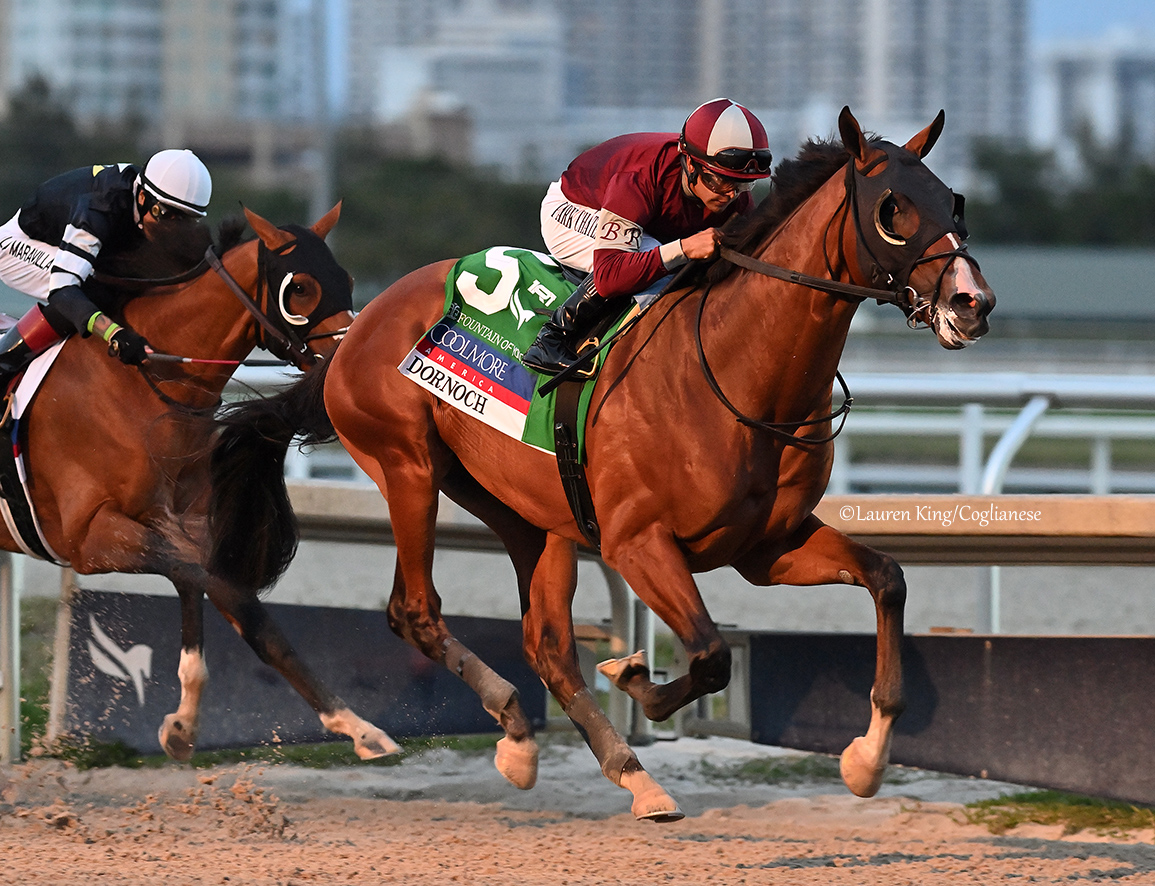 DORNOCH (Good Magic), a full-brother to 2023 GI Kentucky Derby winner Mage, took to the lead and never looked back as he went on to win Saturday's GII Coolmore Fountain of Youth Stakes by 1 3/4 lengths at <a href="/GulfstreamPark/">Gulfstream Park</a>.

Ridden by <a href="/luissaezpty/">Luis Saez</a>, the <a href="/GarganRacing/">Gargan Racing</a> trainee picked