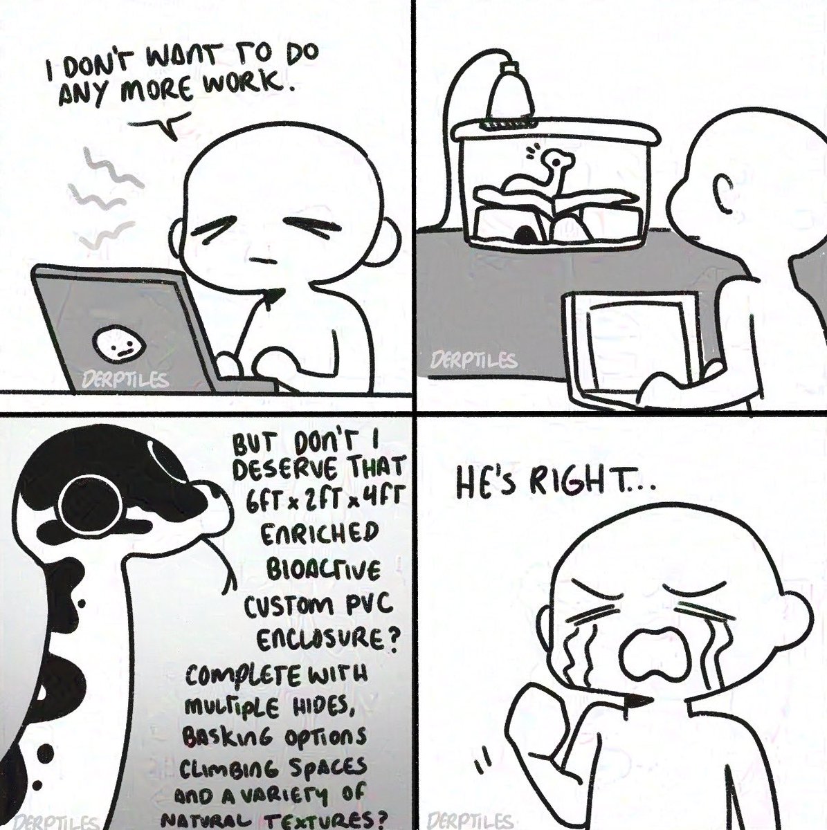 Official_Derptiles tweet media