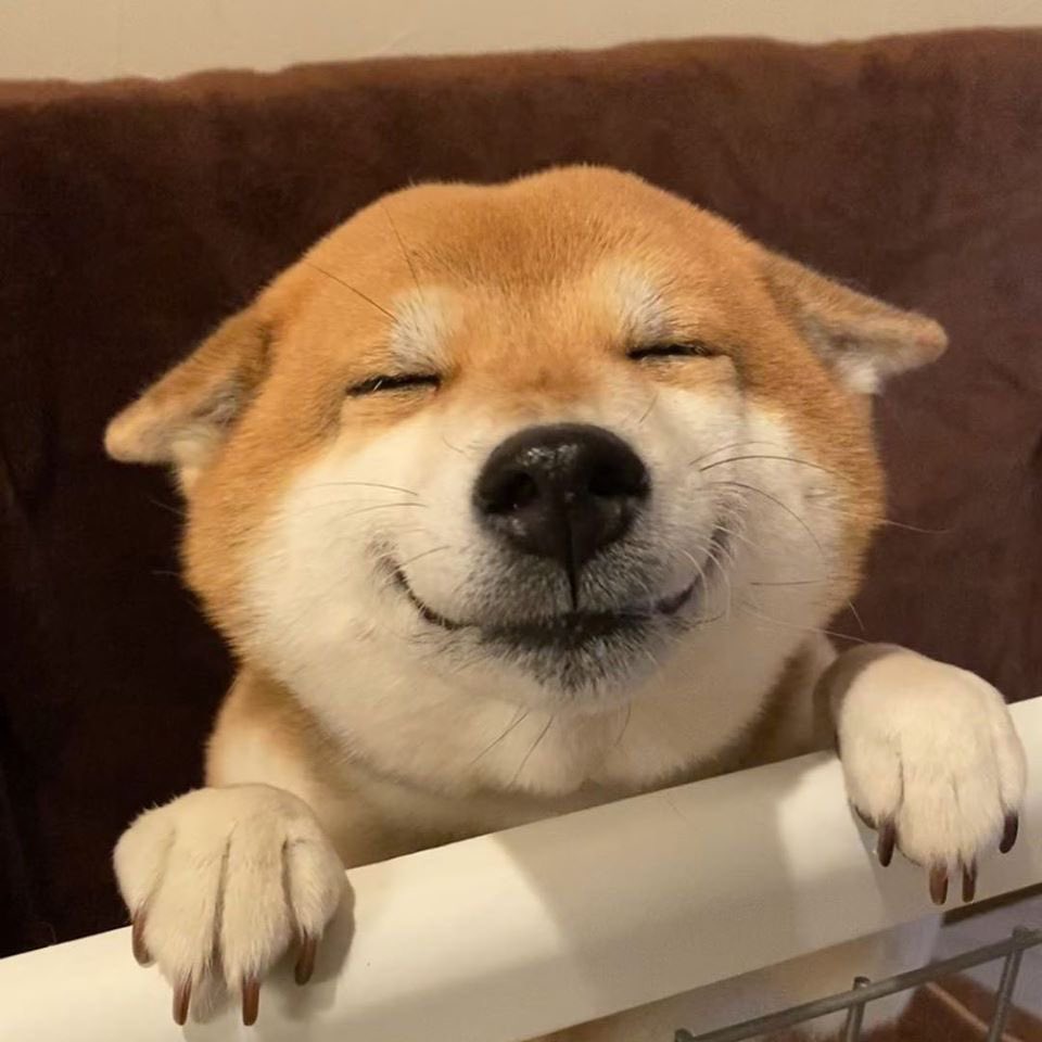 Yuki_MetaW3's tweet photo. #NewProfilePic
"Behind every successful crypto portfolio is a girl who decided to press 'buy' when others hesitated, proving that diamond hands aren't just a boys' game."
I am a girl dog 🐕 #SHIB https://t.co/yPB5PMnmPb