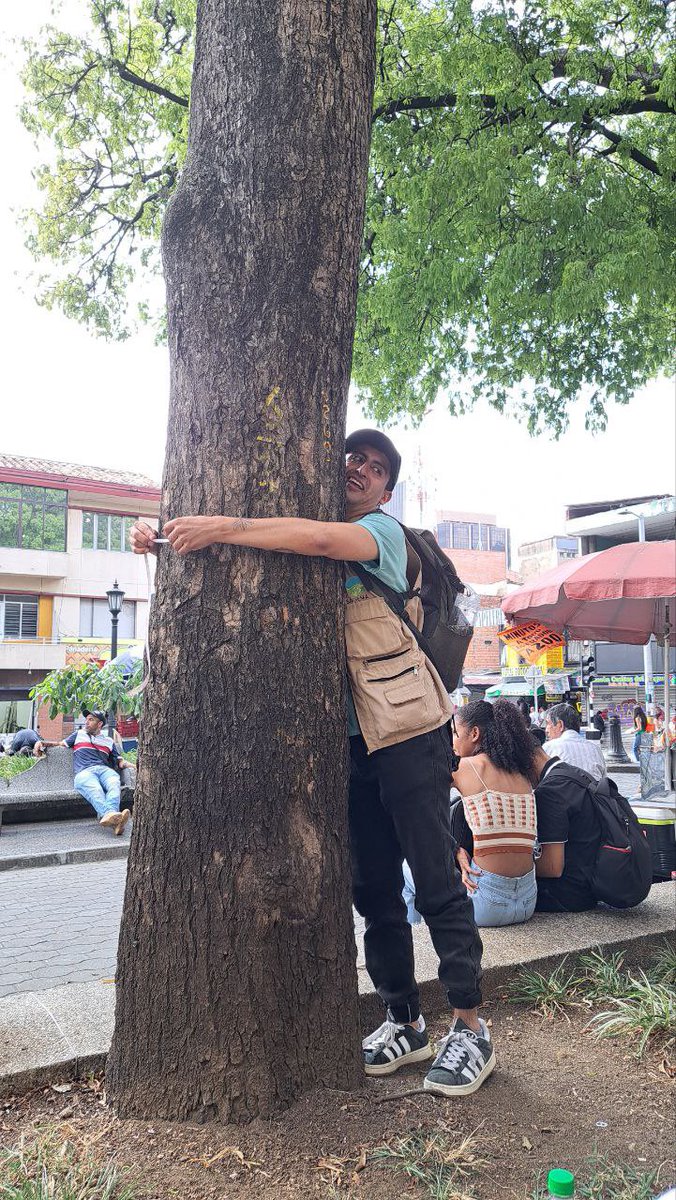 MapHubLAC's tweet image. Desde Medellín, Colombia 🇨🇴 seguimos compartiendo el mapeo de árboles urbanos que se realiza en el marco del #OpenDataDay. 🖥️🌳